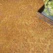 Nourison Luxurious LRS02 Vintage Indoor Rug