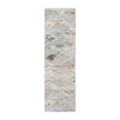Nourison Glitz GLZ11 Modern Indoor Rug