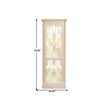 Pulaski Furniture PFC Curios Mirrored Curio 4 Shelf Corner Cabinet