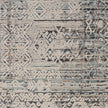 Nourison Lynx LNX06 Vintage Indoor Rug