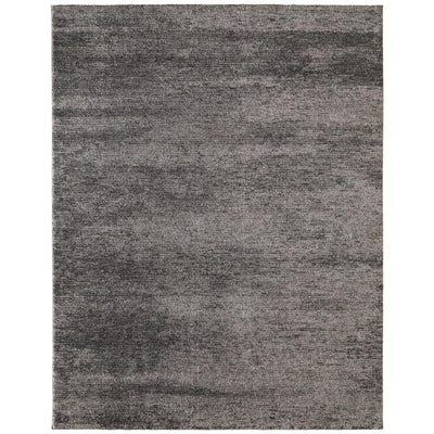 Feizy Jameson 39R8F Modern Distressed Rug