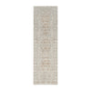 Nourison Desire DSR07 Modern Indoor Rug