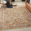 Nourison Sahar SHR01 Vintage Indoor Rug