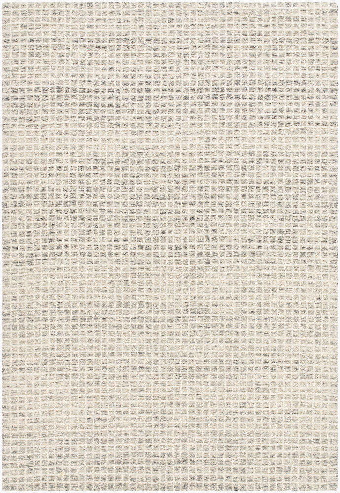 Surya Andreas VVAN-2300 Handmade Rug