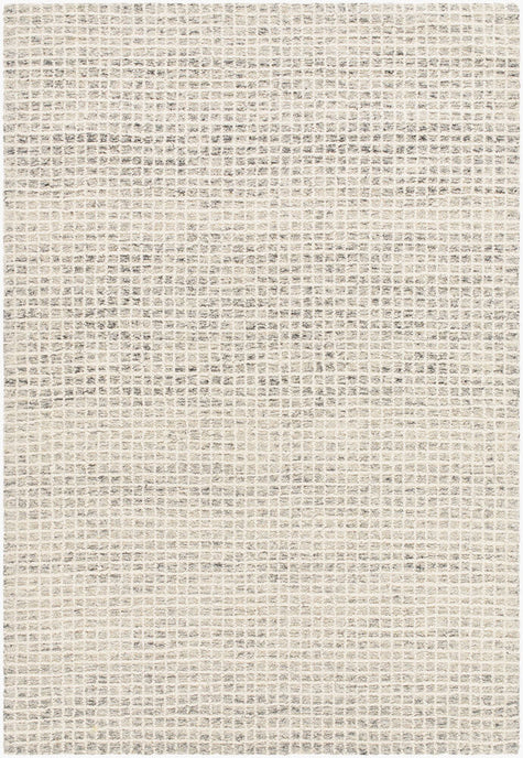 Surya Andreas VVAN-2300 Handmade Rug