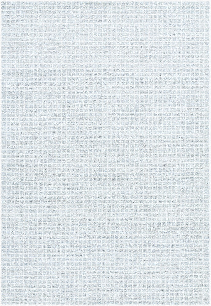 Surya Andreas VVAN-2301 Handmade Rug