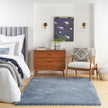 Nourison Dreamy Shag DRS05 Shag Indoor Rug