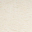 Nourison Dreamy Shag DRS05 Shag Indoor Rug