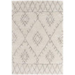Surya Wilder WDR-2003 Machine Woven Rug