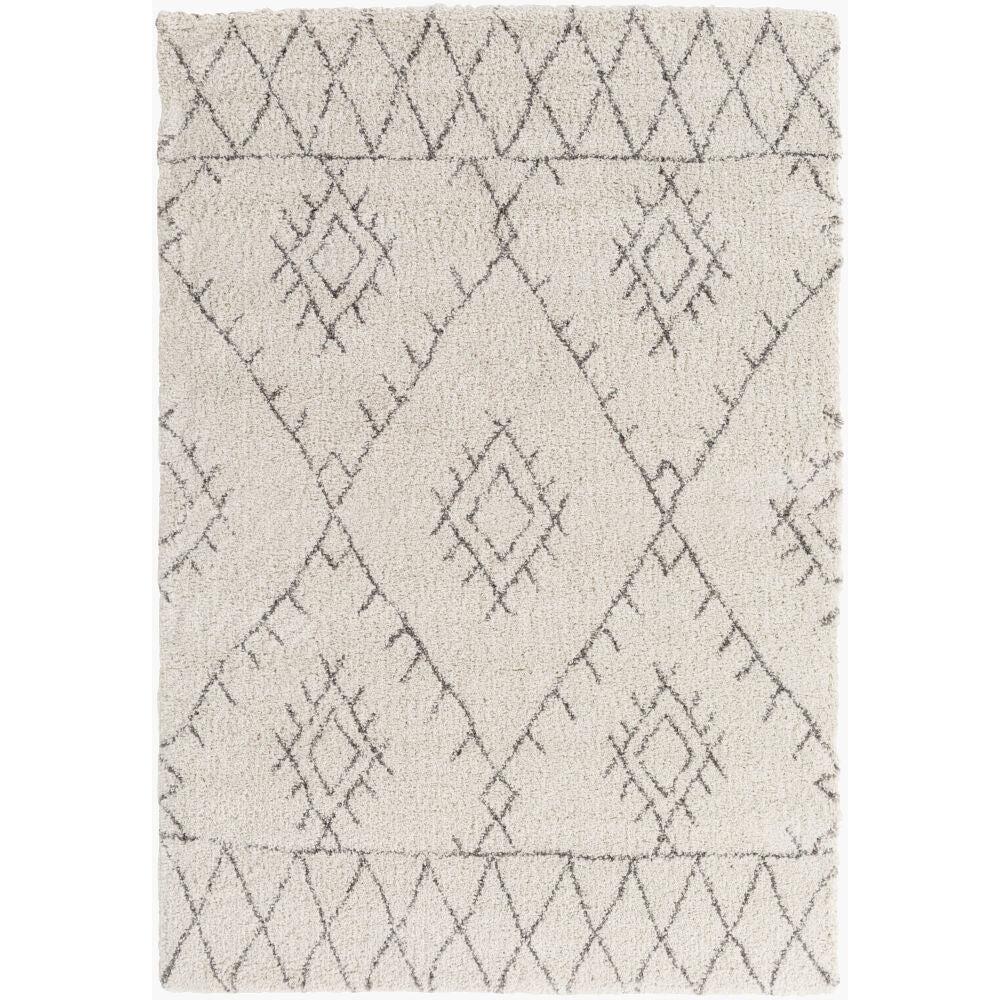 Surya Wilder WDR-2003 Machine Woven Rug