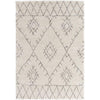 Surya Wilder WDR-2003 Machine Woven Rug