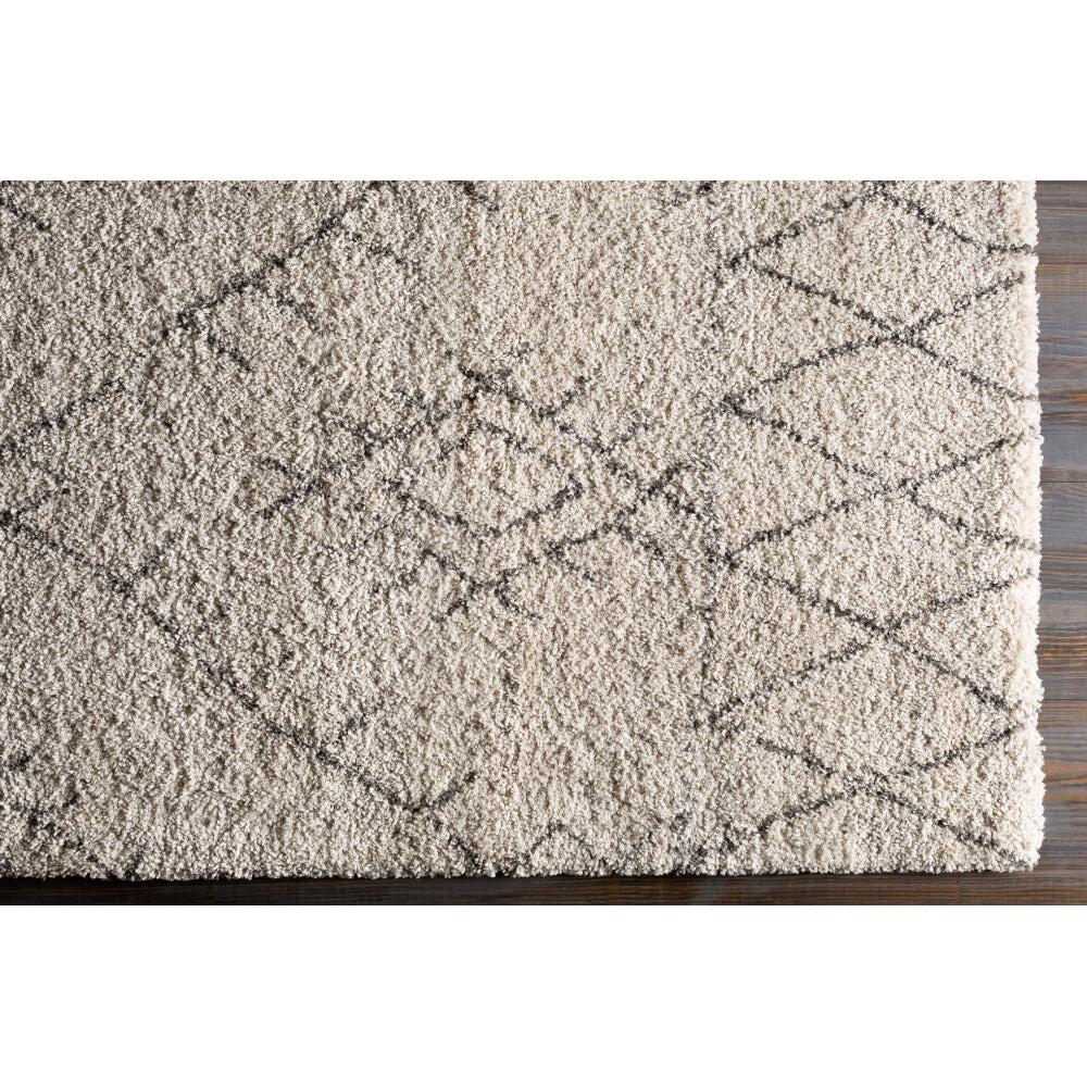 Surya Wilder WDR-2003 Machine Woven Rug