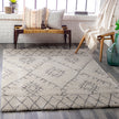 Surya Wilder WDR-2003 Machine Woven Rug