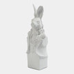 Global Views Rabbit in Tux