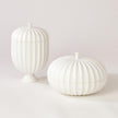 Global Views Cassian Flute Lidded Vessel by Ashley Childers