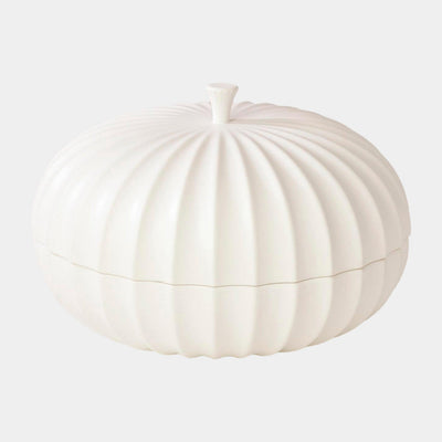 Global Views Cassian Flute Lidded Vessel by Ashley Childers