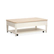 Salt Life Home Echo Isles Sea Pearl and Driftwood Lift Top Storage Cocktail Table with Casters