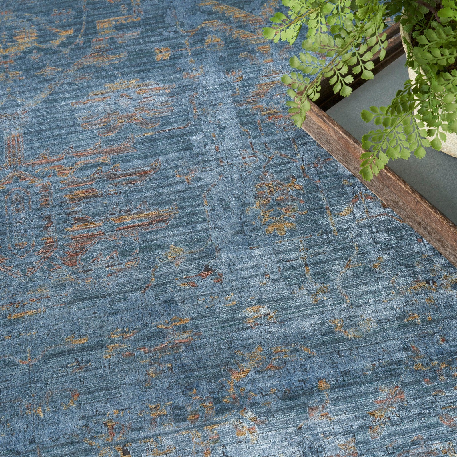 Nourison Luxurious LRS01 Vintage Indoor Rug