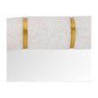 Arteriors Trevino Mirror