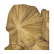 Arteriors Ismerie Mirror