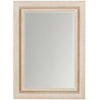Arteriors Indo Mirror