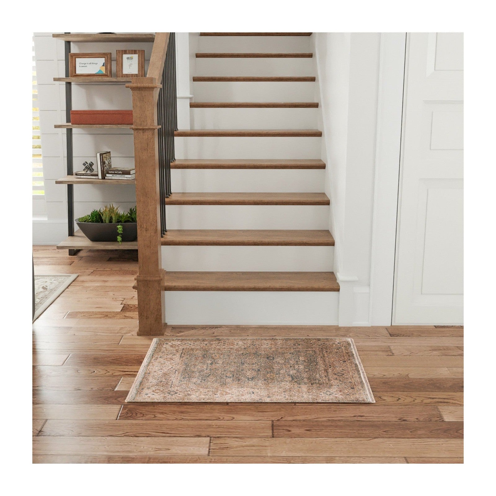Nourison Luxurious LRS03 Vintage Indoor Rug