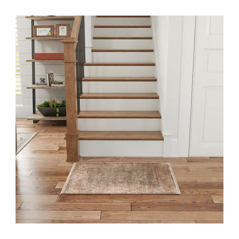 Nourison Luxurious LRS03 Vintage Indoor Rug