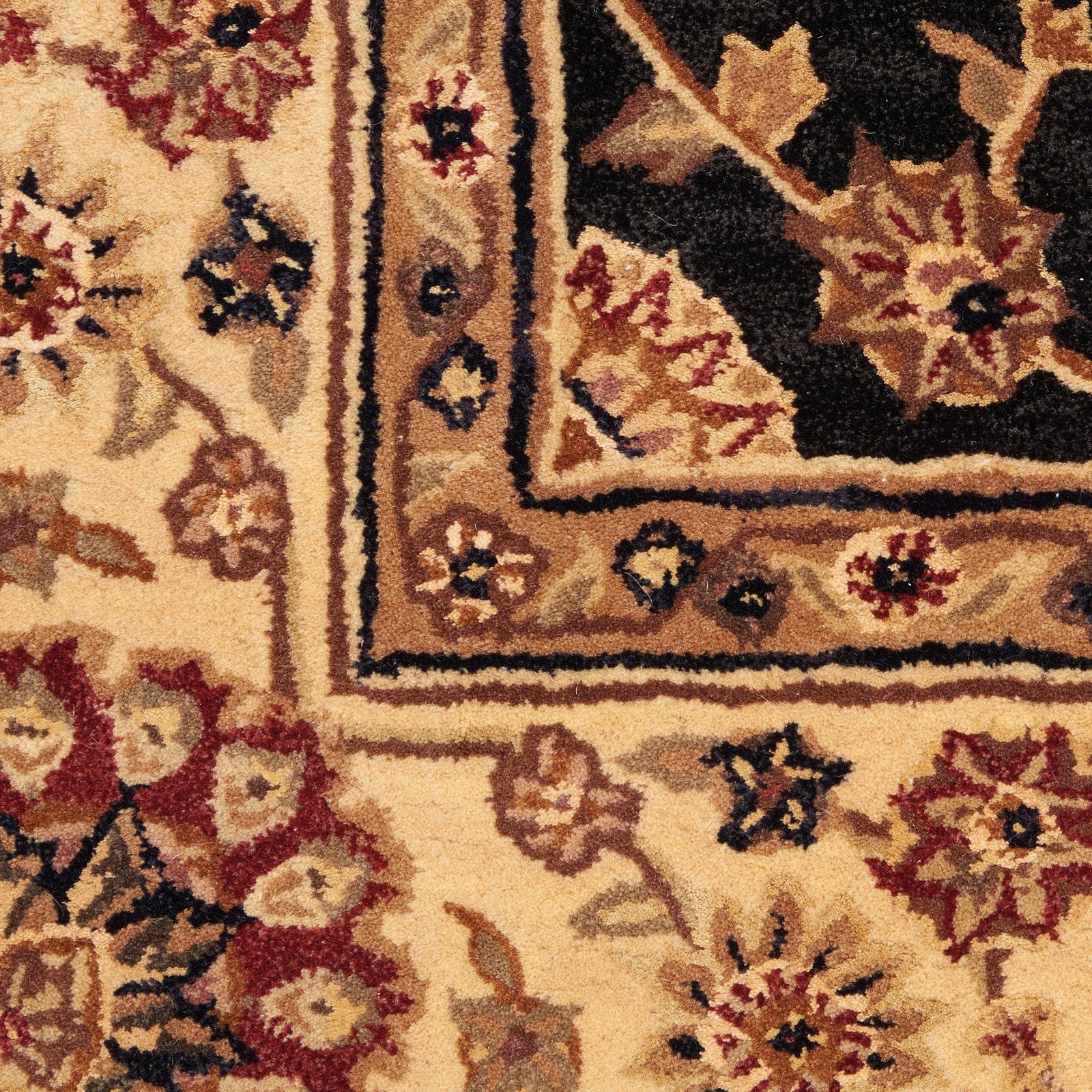 Nourison 2000 2204 Traditional Indoor Rug