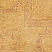 Nourison Luxurious LRS02 Vintage Indoor Rug