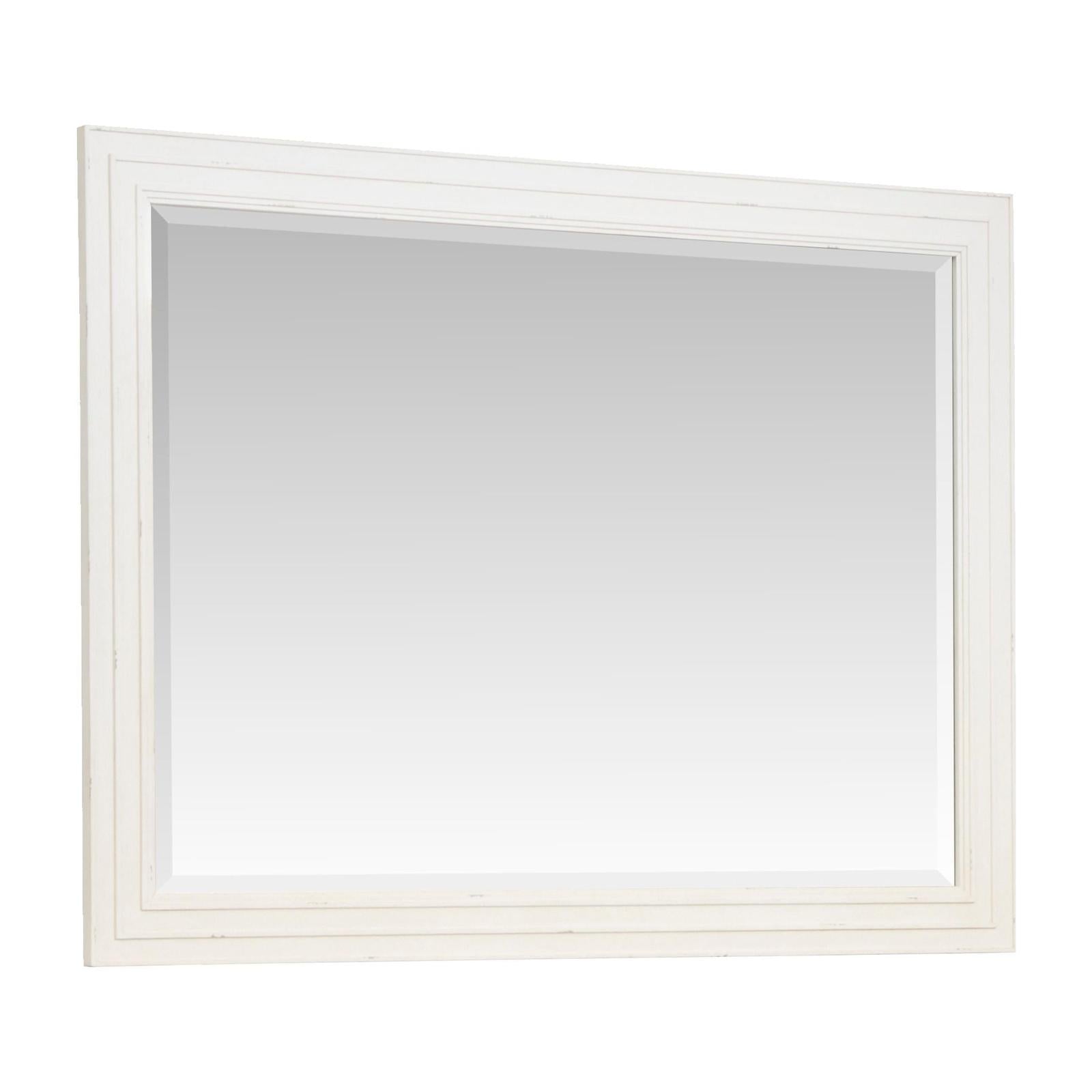 Salt Life Home Echo Isles Sea Pearl and Driftwood Double Drawer Dresser with Landscape Mirror