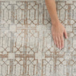 Nourison Desire DSR07 Modern Indoor Rug