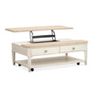 Salt Life Home Echo Isles Sea Pearl and Driftwood Lift Top Storage Cocktail Table with Casters
