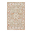 Nourison Infinite IFT01 Vintage Indoor Rug
