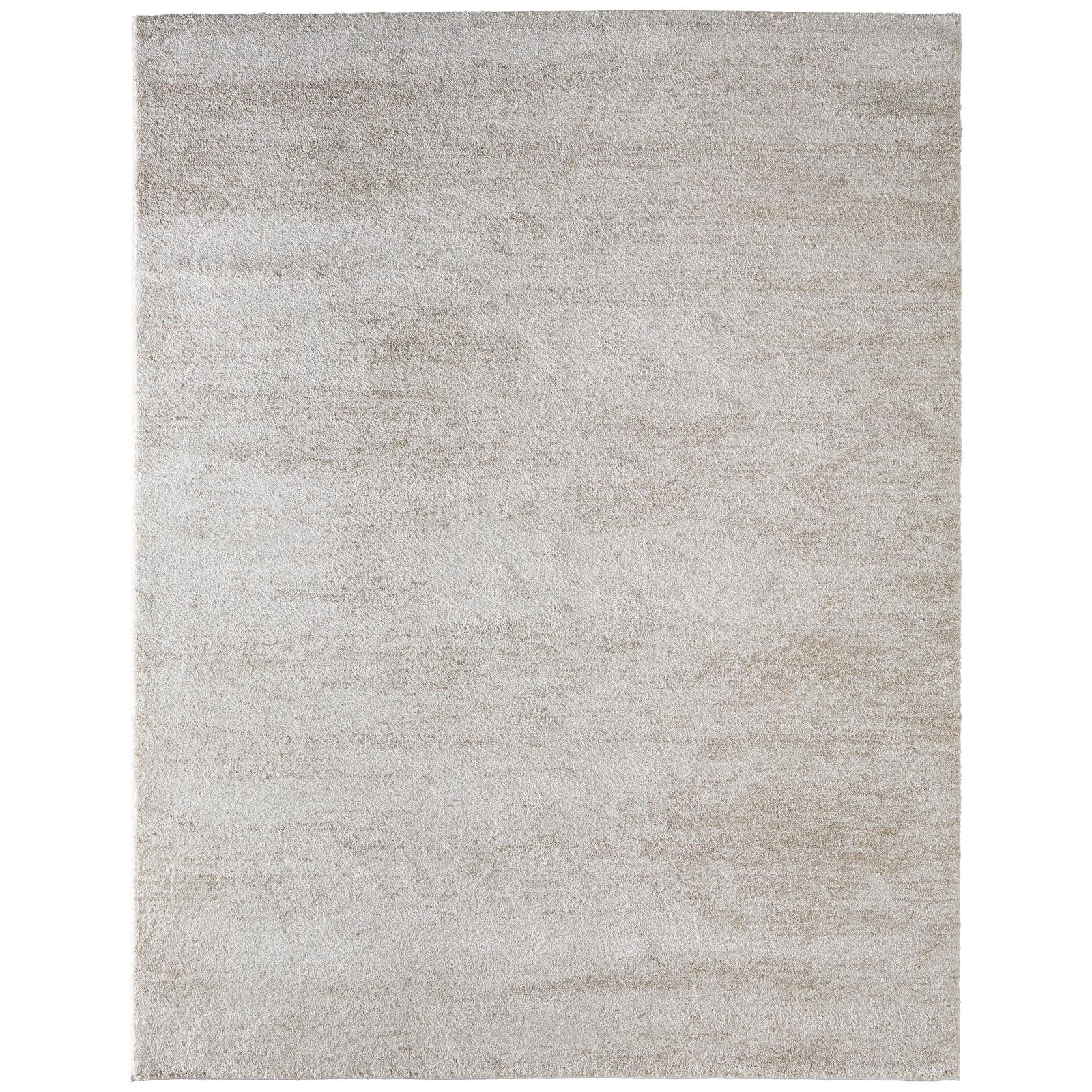 Feizy Jameson 39R8F Modern Distressed Rug
