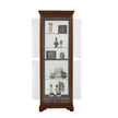 Pulaski Furniture PFC Curios Mirrored Curio 5 Shelf Gallery Cabinet