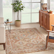 Nourison Sahar SHR01 Vintage Indoor Rug