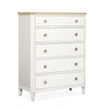 Salt Life Home Echo Isles Sea Pearl and Driftwood Drawer Chest