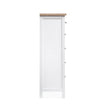 Salt Life Home Windmill Harbour White Whisp and Sand Drawer Chest