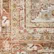 Nourison Sahar SHR01 Vintage Indoor Rug