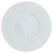 Raynaud Mineral Buffet Plate