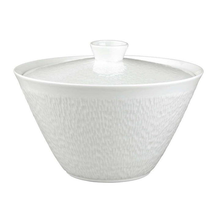 Raynaud Mineral Soup Tureen