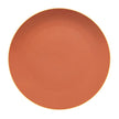 Vista Alegre Mar Charger Plate Salmon