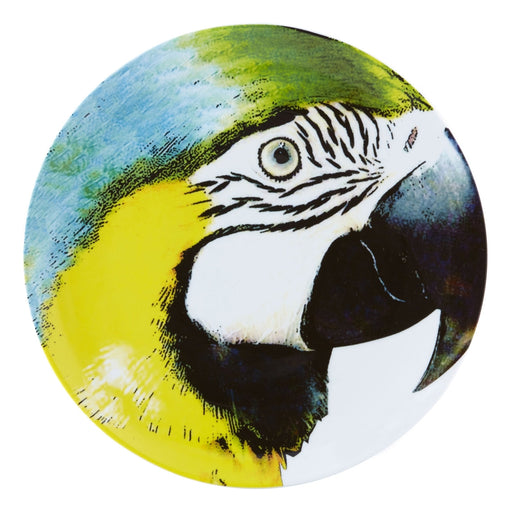 Vista Alegre Olhar O Brasil Charger Plate Yellow Bellied Macaw By Chico Gouveia