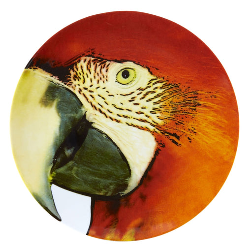 Vista Alegre Olhar O Brasil Charger Plate Red Macaw By Chico Gouveia