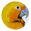 Vista Alegre Olhar O Brasil Charger Plate Guaruba By Chico Gouveia