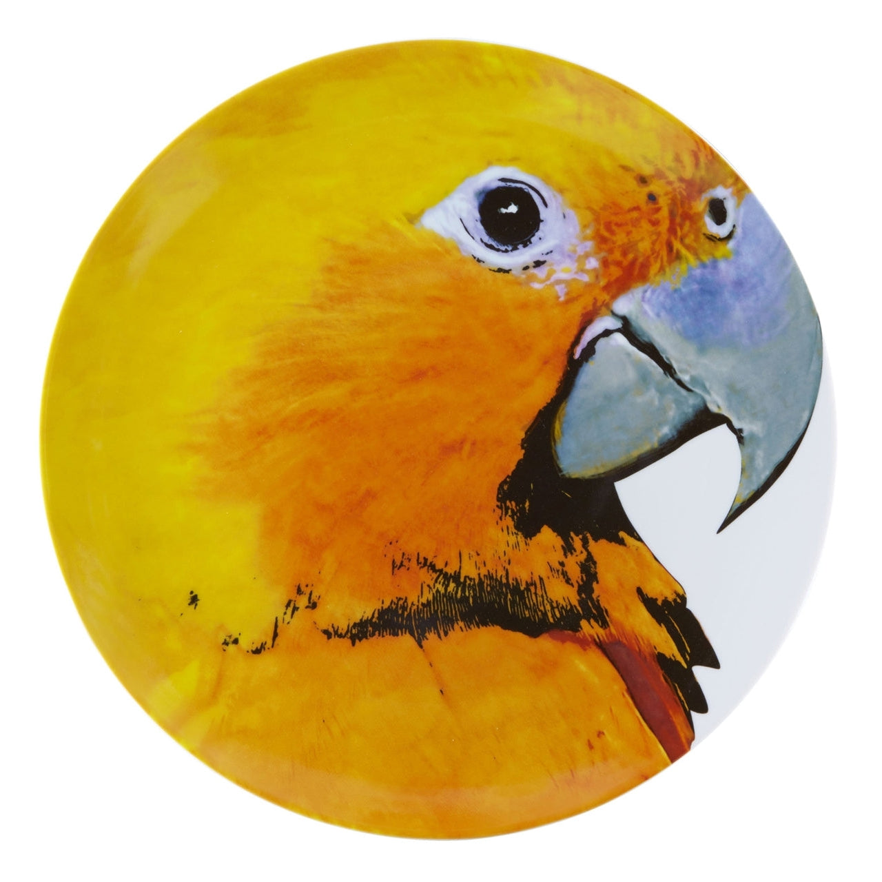 Vista Alegre Olhar O Brasil Charger Plate Guaruba By Chico Gouveia