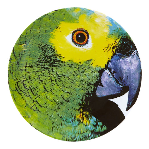 Vista Alegre Olhar O Brasil Charger Plate Parrot By Chico Gouveia