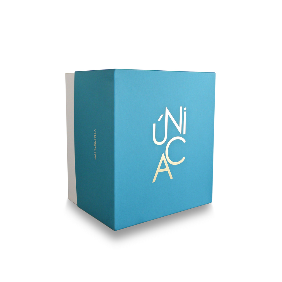 Vista Alegre unica Case with Large Vase Caneleto Blue