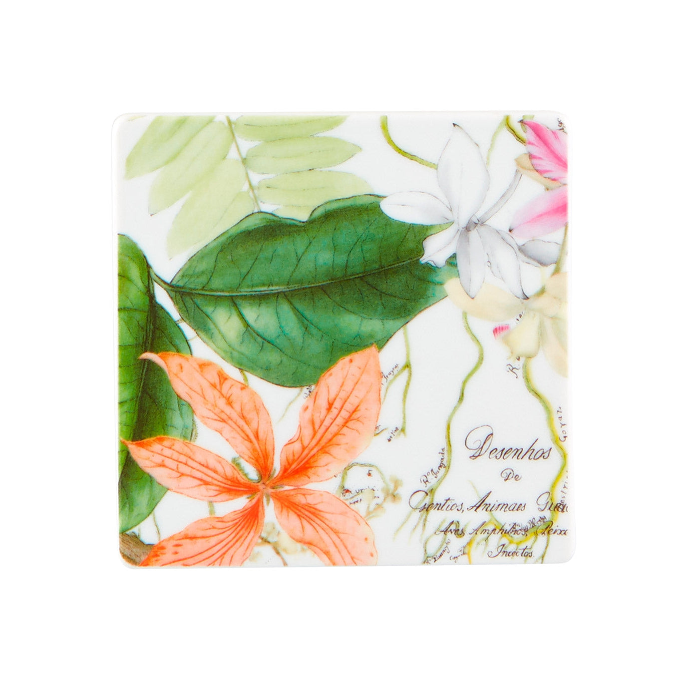 Vista Alegre Amazonia Coasters - Set of 4
