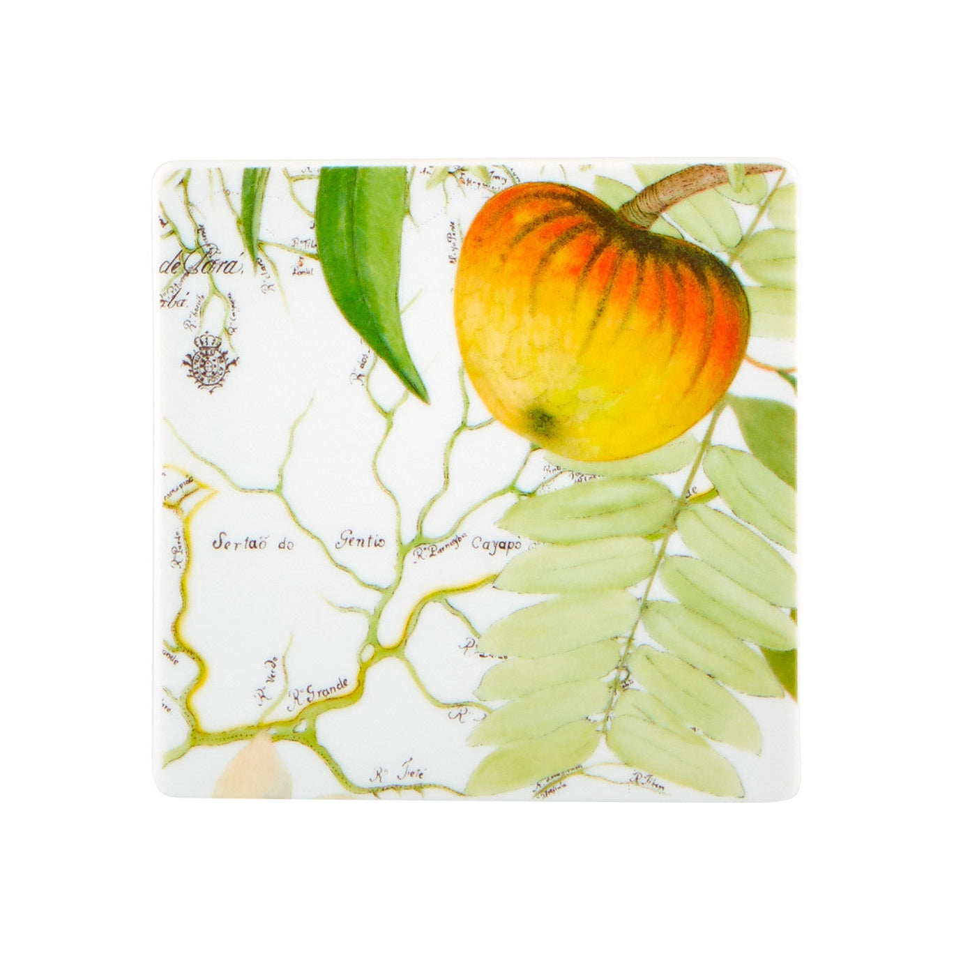 Vista Alegre Amazonia Coasters - Set of 4